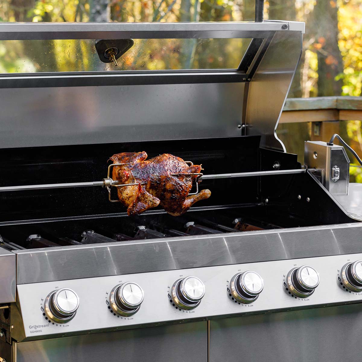 Gas barbecue with rotisserie hotsell